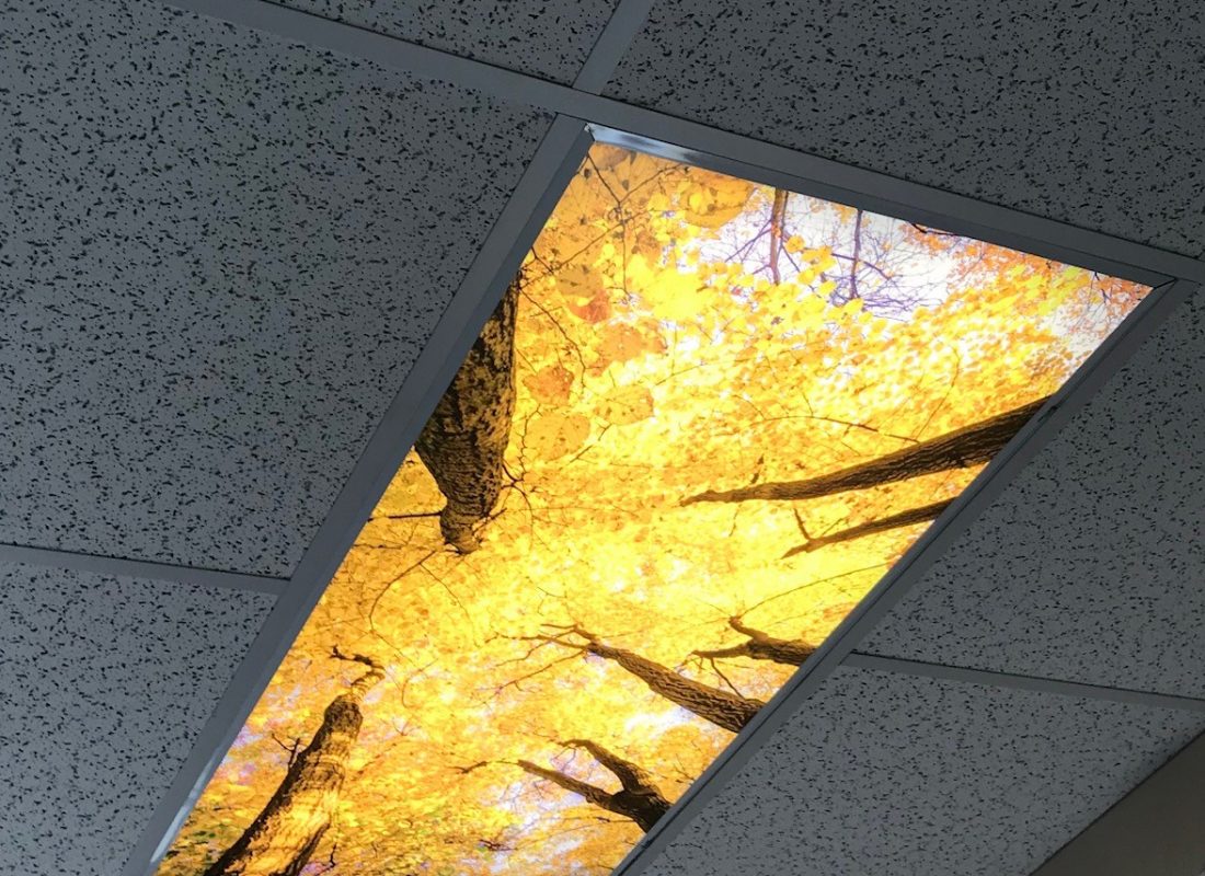 Ceiling_Graphics